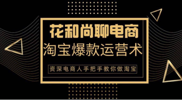 花和尚·天猫淘宝爆款运营实操技术，手把手教你月销万件的爆款打造技巧-杨大侠副业网