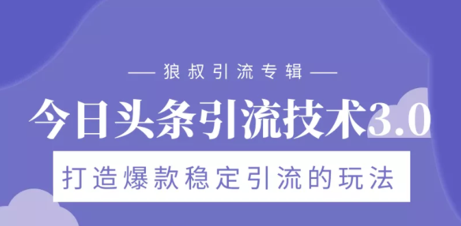 狼叔今日头条引流技术3.0，打造爆款稳定引流的玩法，VLOG引流技术-杨大侠副业网