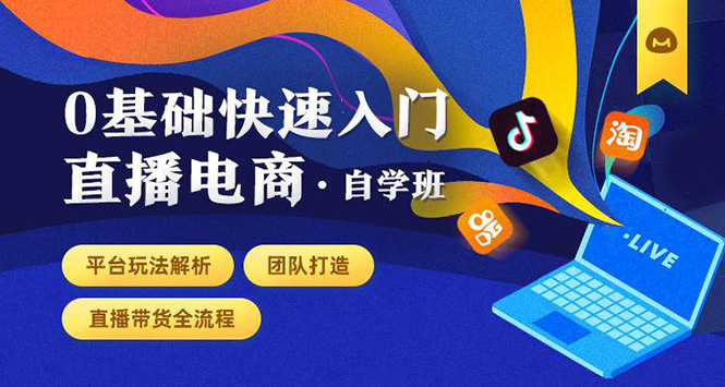 0基础快速入门直播电商课程：直播平台玩法解析-团队打造-带货全流程等环节-杨大侠副业网