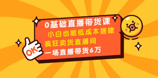 0基础直播带货课：小白也能低成本搭建疯狂卖货直播间：1场直播带货6万-杨大侠副业网