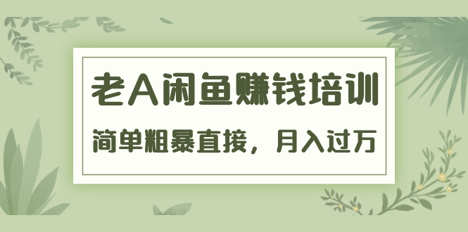 《老A闲鱼赚钱培训》简单粗暴直接，月入过万真正的闲鱼战术实课（51节课）-杨大侠副业网