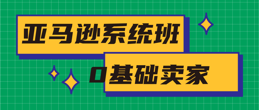 亚马逊系统班，专为0基础卖家量身打造，亚马逊运营流程与架构-杨大侠副业网