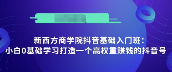 抖音基础入门班：小白0基础学习打造一个高权重赚钱的抖音号-杨大侠副业网