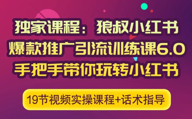 狼叔小红书爆款推广引流训练课6.0，手把手带你玩转小红书-杨大侠副业网