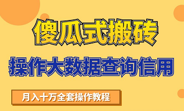 搬砖操作大数据查询信用项目赚钱教程，祝你快速月入6万-杨大侠副业网