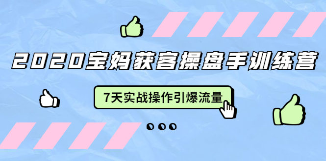 2020宝妈获客操盘手训练营：7天实战操作引爆 母婴、都市、购物宝妈流量-杨大侠副业网