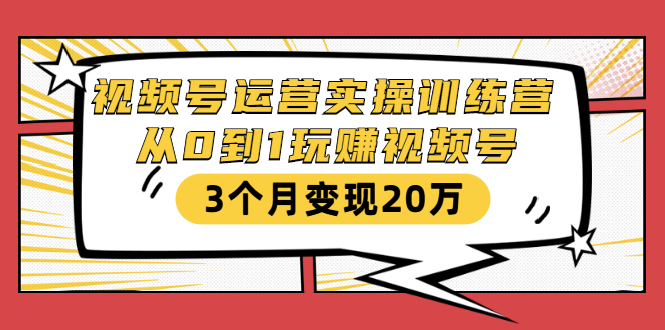 视频号运营实操训练营：从0到1玩赚视频号，3个月变现20万-杨大侠副业网