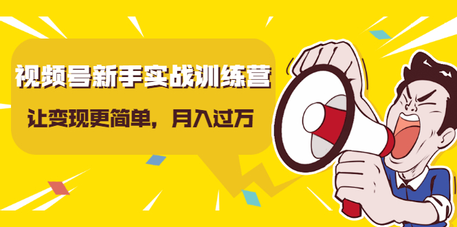 视频号新手实战训练营，让变现更简单，玩赚视频号，轻松月入过万-杨大侠副业网