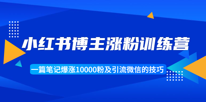 小红书博主涨粉训练营：一篇笔记爆涨10000粉及引流微信的技巧-杨大侠副业网