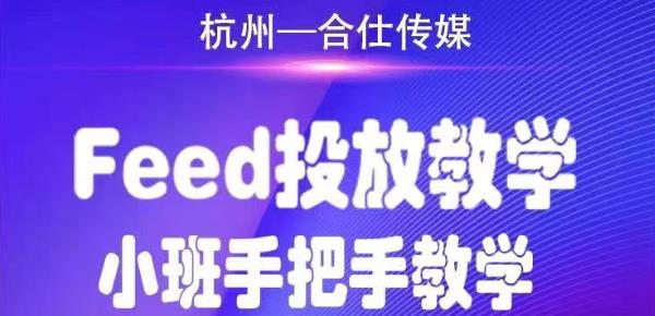 合仕传媒Feed投放教学，手把手教学，开车烧钱必须自己会-杨大侠副业网