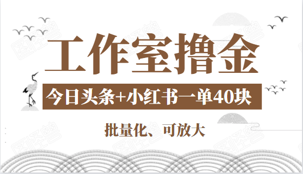 工作室撸金二件套：撸今日头条原创收益+小红书一单利润40块项目-杨大侠副业网