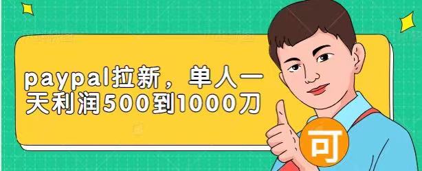 Paypal拉新赚美刀项目，单人一天利润500-1000刀【视频课程】-杨大侠副业网