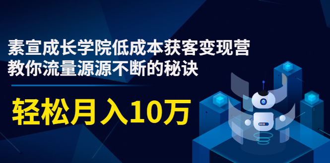 素宣成长学院低成本获客变现营，教你流量源源不断的秘诀，轻松月入10万-杨大侠副业网