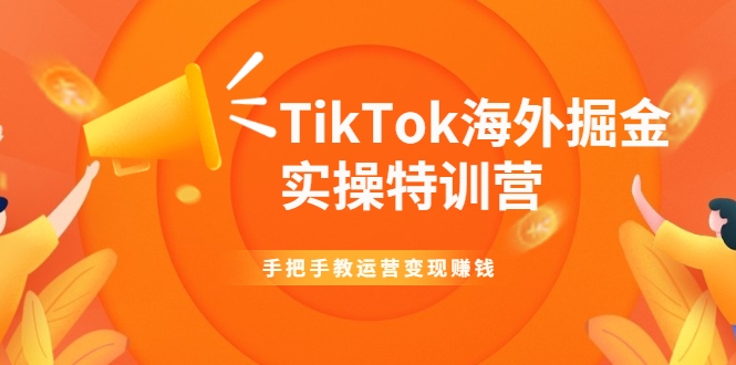 TikTok海外掘金实操特训营：手把手教运营变现赚钱-杨大侠副业网