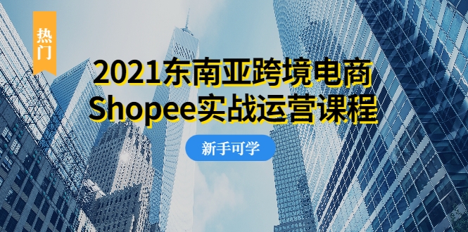 2021东南亚跨境电商Shopee实战运营课程，0基础、0经验、0投资的副业项目-杨大侠副业网