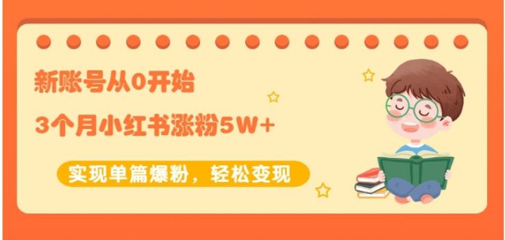 生财小红书涨粉变现：新账号从0开始3个月小红书涨粉5W+实现单篇爆粉-杨大侠副业网