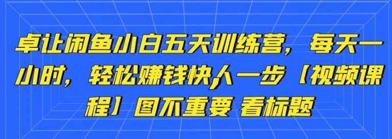 卓让闲鱼小白五天训练营，每天一小时，轻松赚钱快人一步-杨大侠副业网