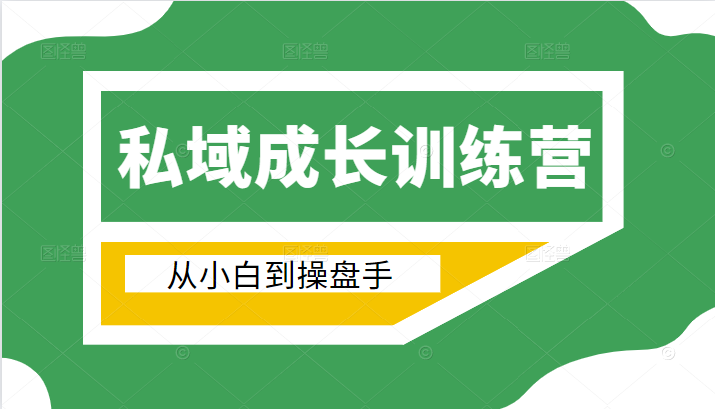 电商私域成长训练营，从小白到操盘手（价值999元）-杨大侠副业网