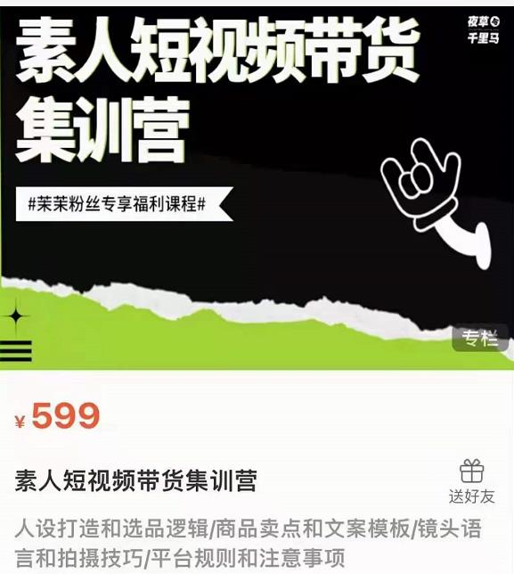 夜草与千里马素人短视频带货集训营，薛辉团队价值599-杨大侠副业网