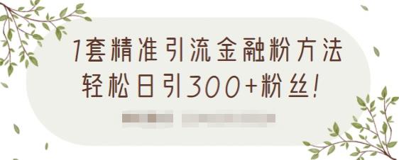 1套精准引流金融粉方法，轻松日引300+粉丝-杨大侠副业网