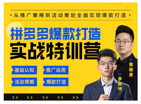 玺承云·拼多多爆款打造实战特训营，一套从入门到高手课程，让你快速拿捏拼多多-杨大侠副业网