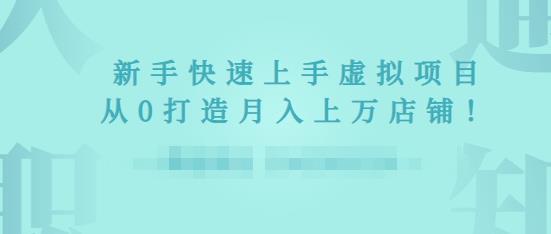 2022年虚拟项目实战指南，新手从0打造月入上万店铺-杨大侠副业网