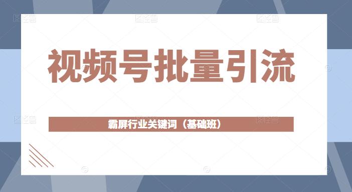 视频号批量引流，霸屏行业关键词（基础班）全面系统讲解视频号玩法-杨大侠副业网