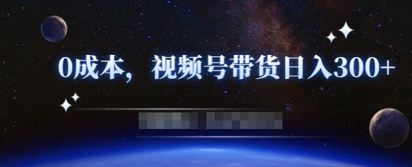 零基础视频号带货赚钱项目，0成本0门槛轻松日入300+【视频教程】-杨大侠副业网