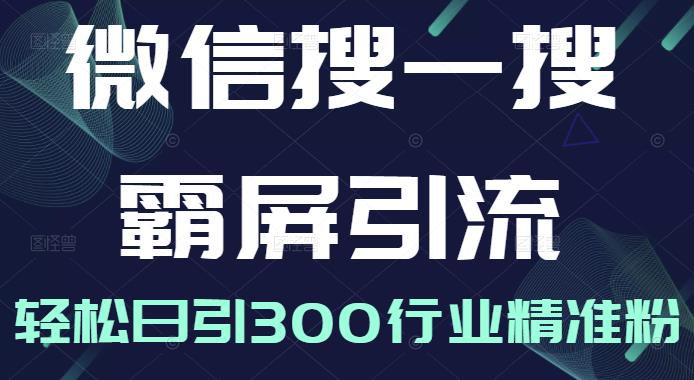 微信搜一搜霸屏引流课，打造被动精准引流系统，轻松日引300行业精准粉-杨大侠副业网