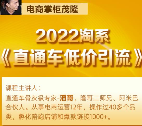 茂隆2022直通车低价引流玩法，教大家如何低投入高回报的直通车玩法-杨大侠副业网