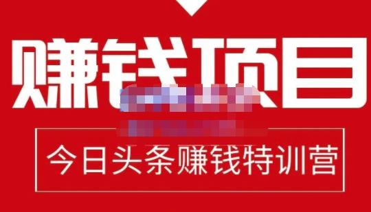 懒人领域·今日头条项目玩法，头条中视频项目，单号收益在50—500可批量-杨大侠副业网