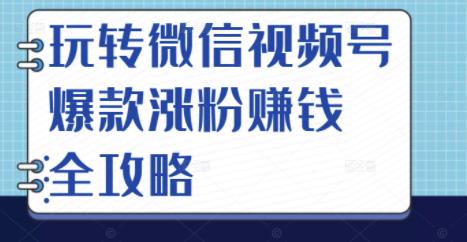 玩转微信视频号爆款涨粉赚钱全攻略，让你快速抓住流量风口，收获红利财富-杨大侠副业网