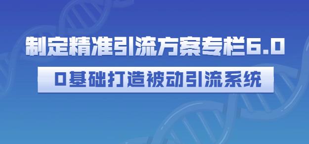 制定精准引流方案专栏6.0，0基础打造被动引流系统-杨大侠副业网