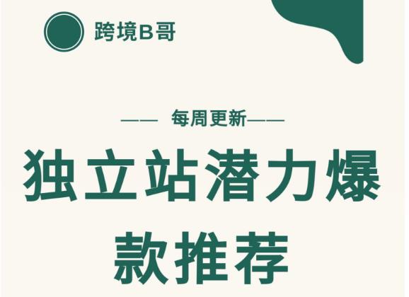 【跨境B哥】独立站潜力爆款选品推荐，测款出单率高达百分之80-杨大侠副业网