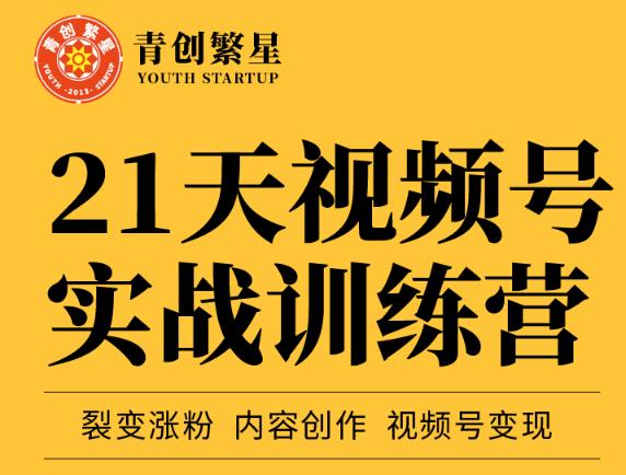 张萌21天视频号实战训练营，裂变涨粉、内容创作、视频号变现 价值298元-杨大侠副业网