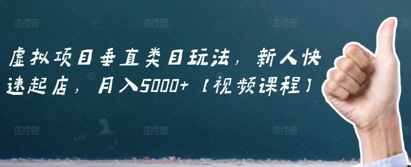 虚拟项目垂直类目玩法，新人快速起店，月入5000+【视频课程】-杨大侠副业网