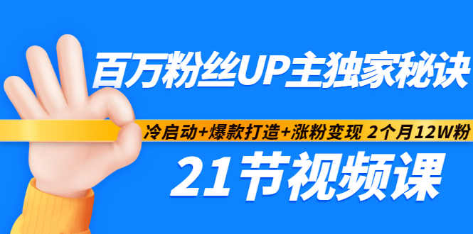 百万粉丝UP主独家秘诀：冷启动+爆款打造+涨粉变现2个月12W粉（21节视频课)-杨大侠副业网