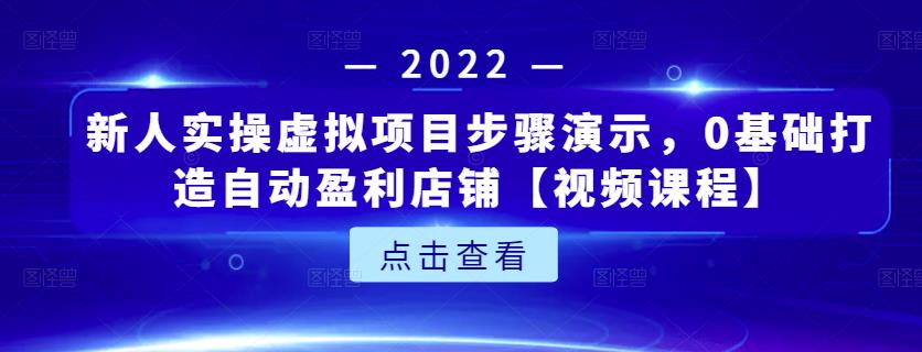 新人实操虚拟项目步骤演示，0基础打造自动盈利店铺【视频课程】-杨大侠副业网