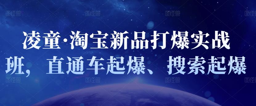 凌童·淘宝新品打爆实战班，直通车起爆、搜索起爆-杨大侠副业网