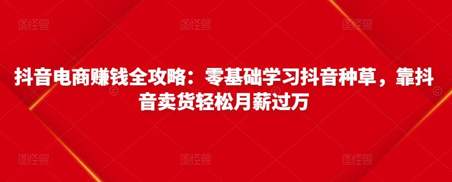 抖音电商赚钱全攻略：零基础学习抖音种草，靠抖音卖货轻松月薪过万-杨大侠副业网