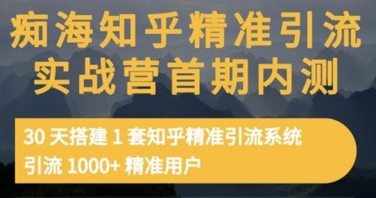 痴海知乎精准引流实战营1-2期，30天搭建1套知乎精准引流系统，引流1000+精准用户-杨大侠副业网