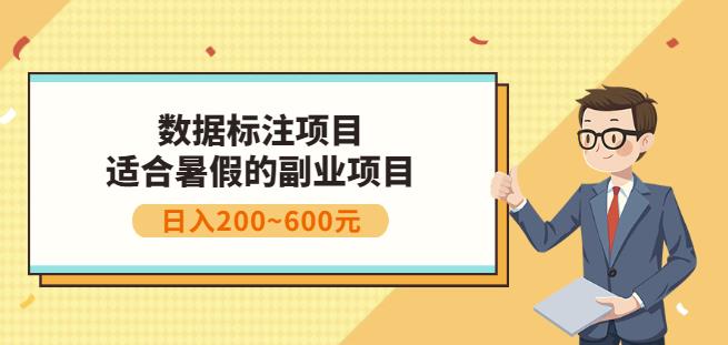 副业赚钱：人工智能数据标注项目，简单易上手，小白也能日入200+-杨大侠副业网