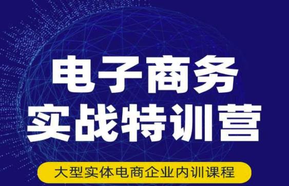 民赛电气内部出品：电子商务实战特训营，全方位带你入门电商，308种方式玩转电商-杨大侠副业网