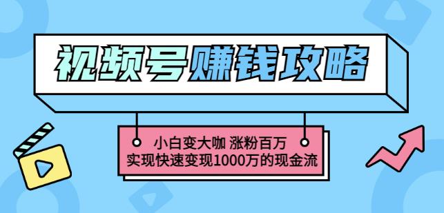 玩转微信视频号赚钱：小白变大咖涨粉百万实现快速变现1000万的现金流-杨大侠副业网