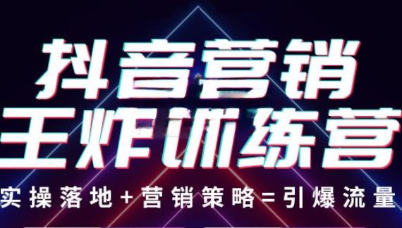 抖音营销王炸训练营，实操落地+营销策略=引爆流量（价值8960元）-杨大侠副业网