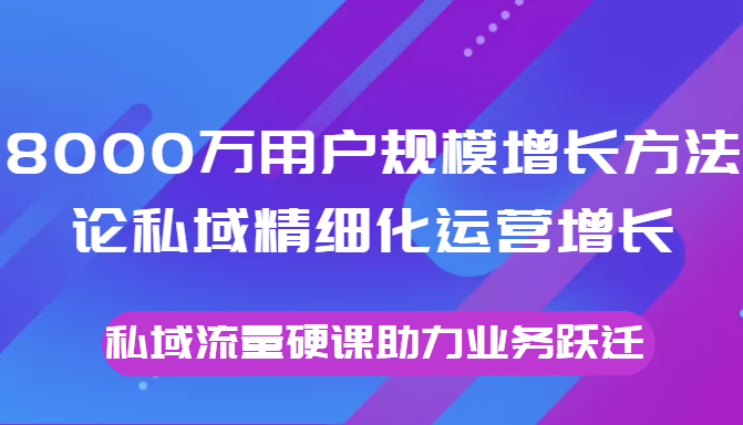 8000万用户规模增长方法论私域精细化运营增长，私域流量硬课助力业务跃迁-杨大侠副业网