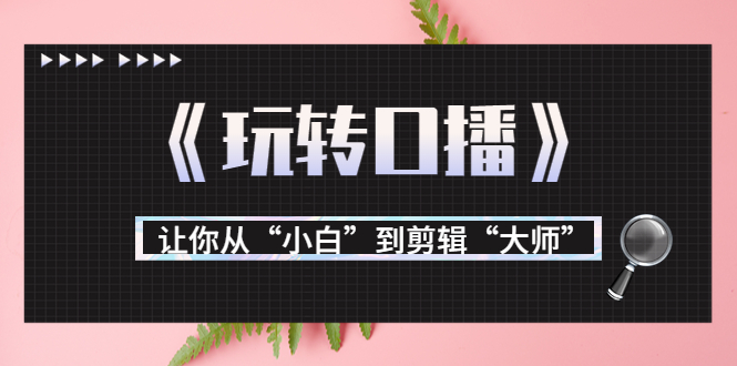 月营业额700万+大佬教您《玩转口播》让你从“小白”到剪辑“大师”-杨大侠副业网