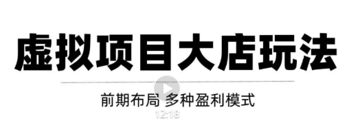 虚拟项目月入几万大店玩法分享，多店操作利润倍增（快速起店盈利）-杨大侠副业网