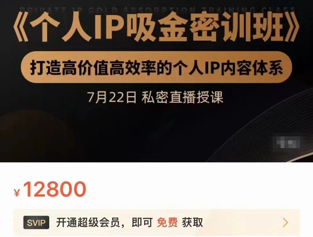 个人IP吸金密训班，打造高价值高效率的个人IP内容体系（价值12800元）-杨大侠副业网