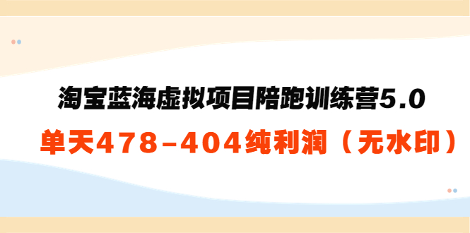 淘宝蓝海虚拟项目陪跑训练营5.0：单天478纯利润-杨大侠副业网